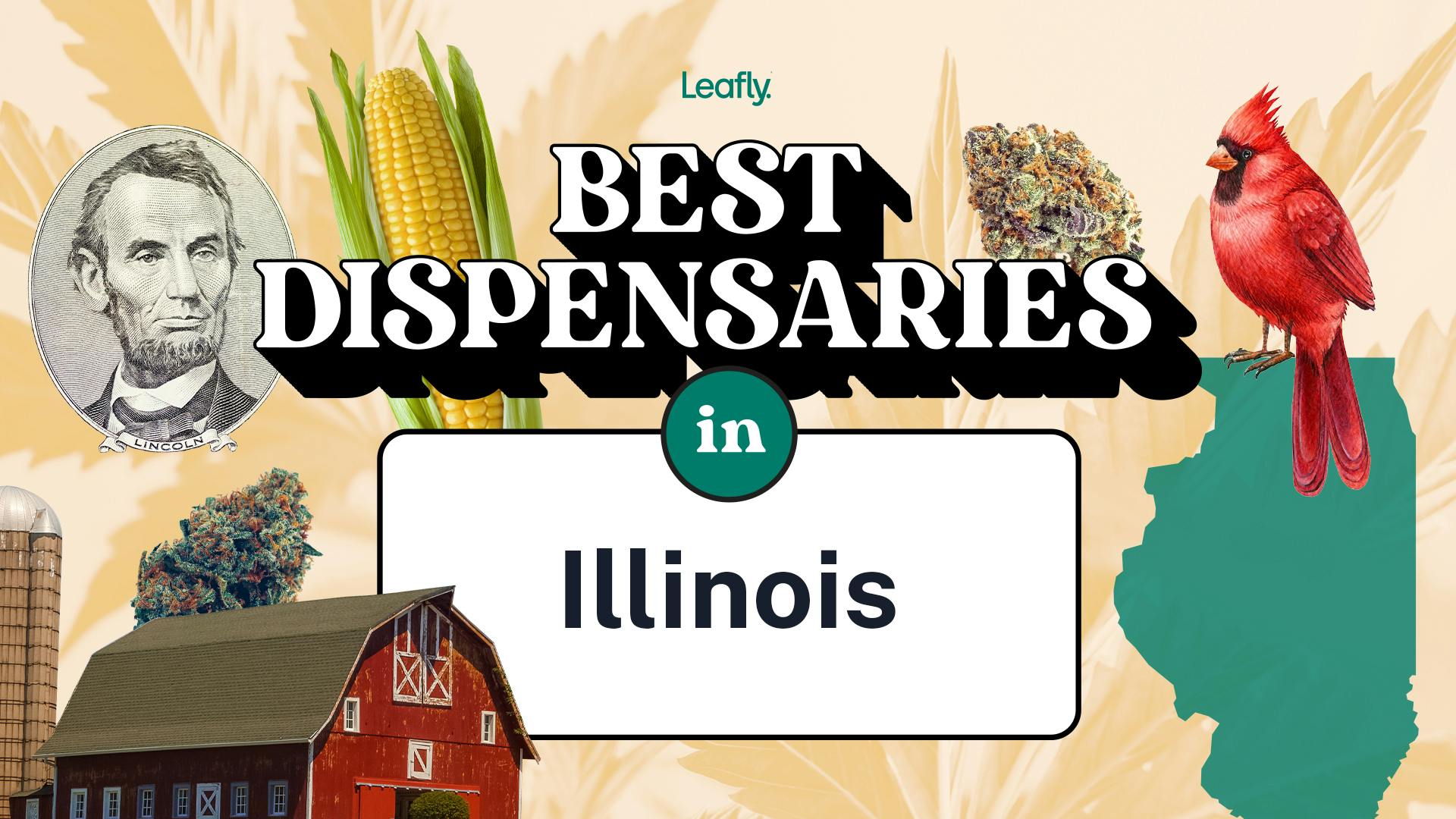 Best Rated Dispensaries in Illinois 2024 image