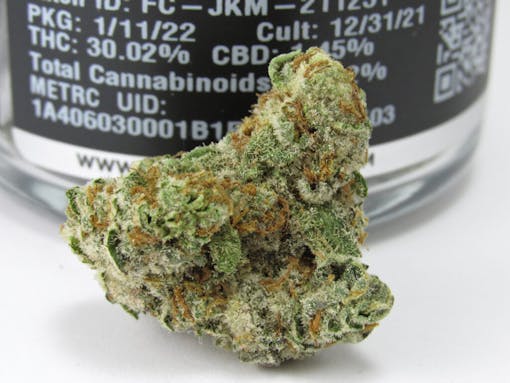 FloraCal Farms Jealousy x Kush Mints (David Downs/Leafly)