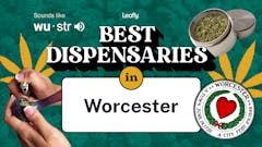 Best Dispensaries in Worcester Leafly List