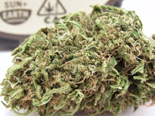 Durban Poison from Whitethorn Valley Farm – via Farm Cut (David Downs/Leafly)