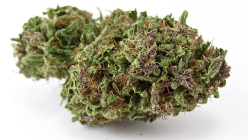 Emerald Spirit Botanicals - Pink Boost Goddess (David Downs/Leafly)