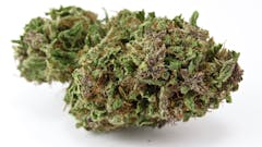 Emerald Spirit Botanicals - Pink Boost Goddess (David Downs/Leafly)