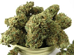 Glentucky Family Farm - First Class Funk (David Downs/Leafly)