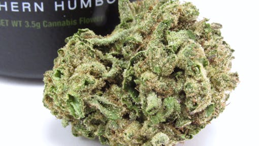 Ridgeline Farms LANTZ 2021 season, bought at The Emerald Cup. (David Downs/Leafly)