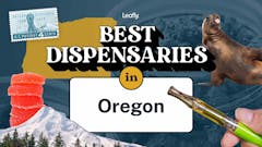 Best Dispensaries in Oregon