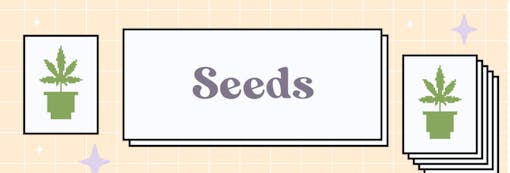 Leafly Highlight March 2022 Mimosa