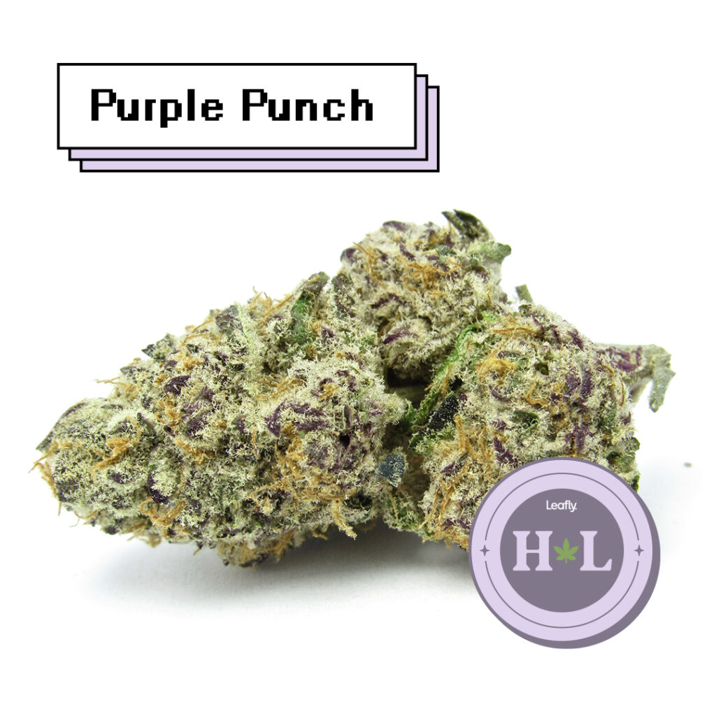 Leafly Highlight March 2022 Purple Punch