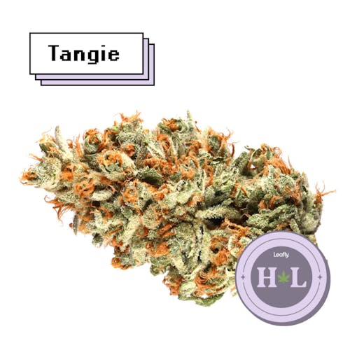 Leafly Highlight March 2022 Tangie