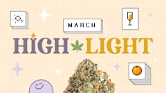 Leafly Highlight March 2022 Mimosa