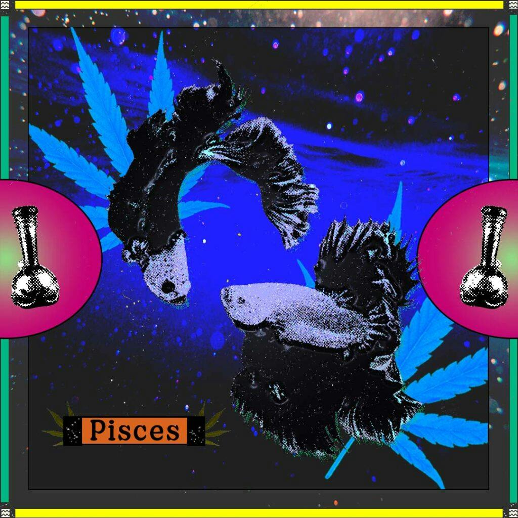 two fish swimming in stars and cannabis leaves on a blue background with bongs and the word "Pisces"