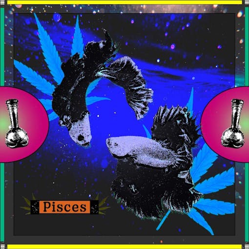 two fish swimming in stars and cannabis leaves on a blue background with bongs and the word "Pisces"