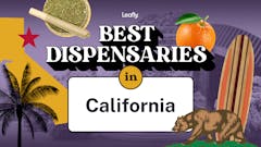 The best dispensaries in California are nearly all 5-star spots. Expect to be wowed. (Sasha Beck/Leafly)
