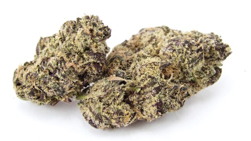 Seed Junky Genetics Sherbert Bx1 x Geato 41 cross Jealousy – grown by LA Family Farms. (David Downs/Leafly)