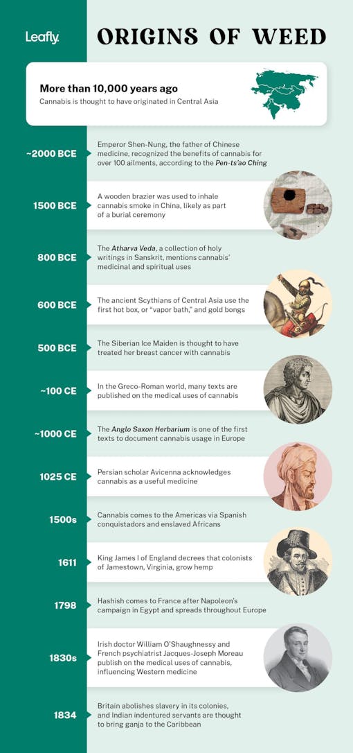 origins of weed timeline