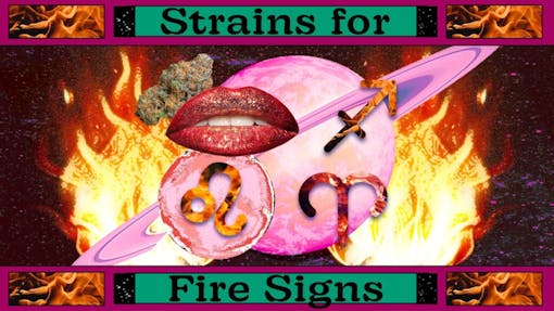 Text reading "strains for fire signs"