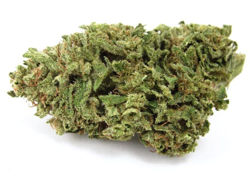 Compound Genetics La Bomba grown outdoors by Glentucky Family Farm. Hybrid. (David Downs/Leafly)