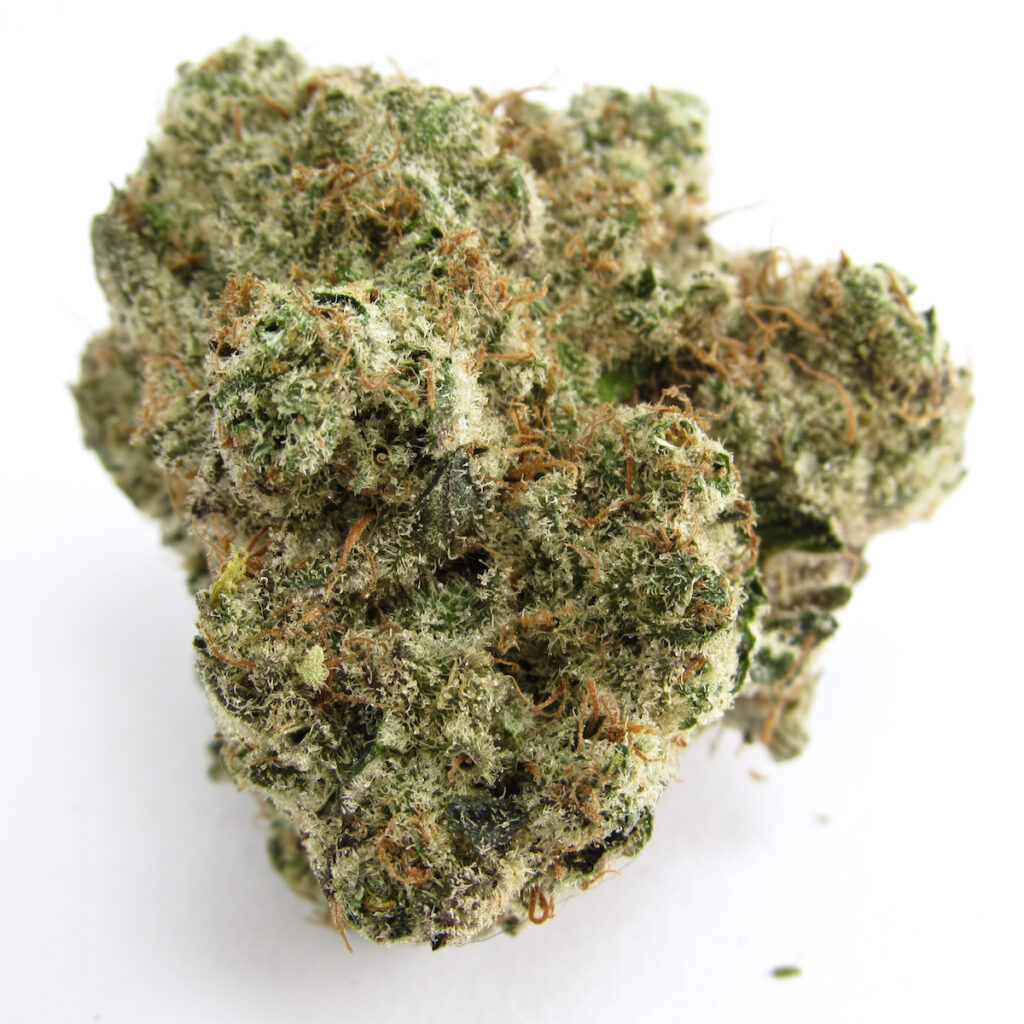 Exotic genetically bred Greasy Runtz. Grown by Sense, SF. Indica hybrid. (David Downs/Leafly)