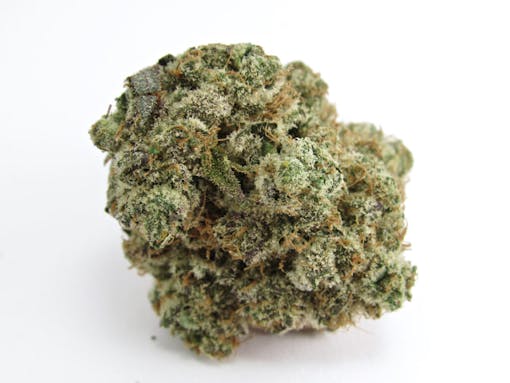 Exotic Genetix-bred Greasy Runtz. Grown by Sense, SF. Indica hybrid. (David Downs/Leafly)