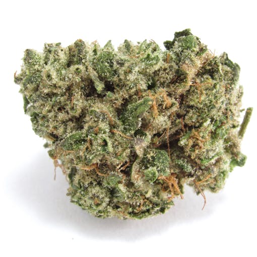 Khalifa Kush and Cookies' new Babby Powder. Khalifa Kush x Georgia Pie. Hybrid. (David Downs/Leafly)