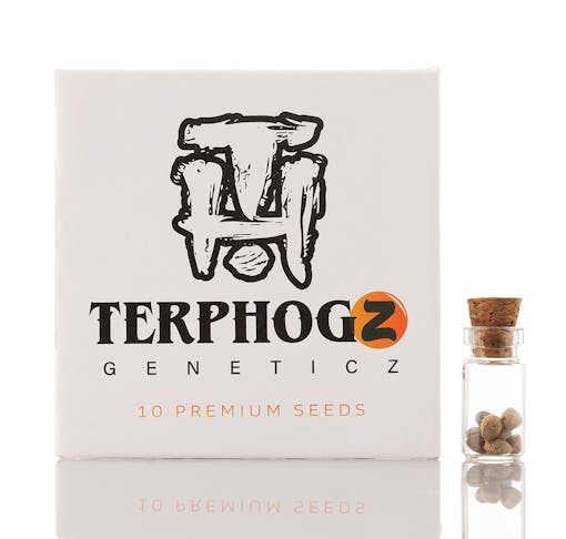 Terphogz Geneticz Seeds gibt es in verschiedenen Elite -Geschmacksrichtungen für die Lieferung in Kalifornien. (Mit freundlicher Genehmigung von Terphogz)