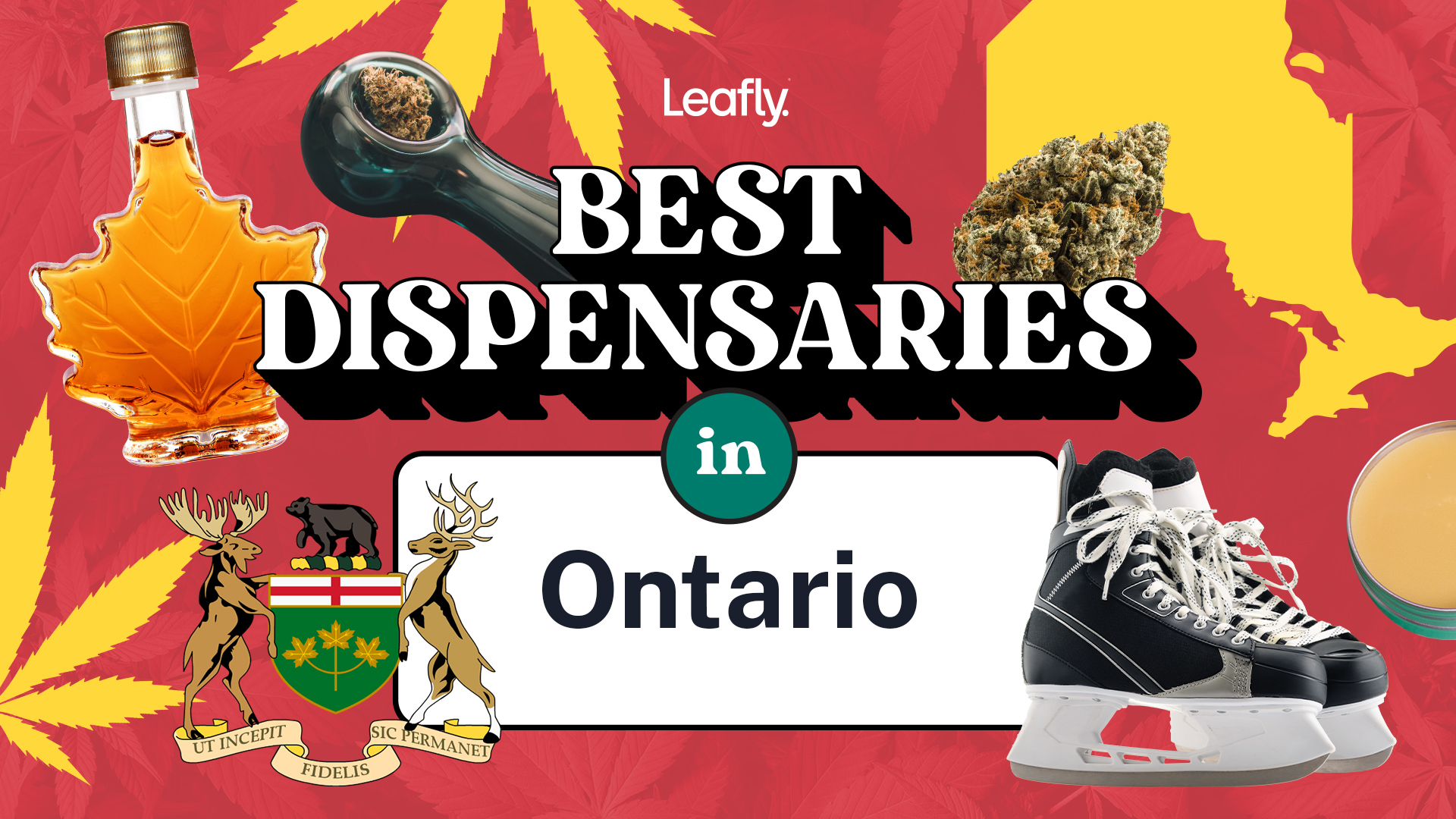 Best Rated Cannabis Dispensary Stores In Ontario Canada 2022 Leafly   BestDispensaries Ontario 1920x1080 1 