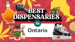 text reading best dispensaries in Ontario surrounded by images including ice skates a glass pipe and a jar of maple syrup in the shape of a maple leaf