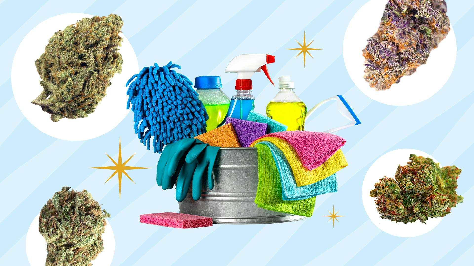 Strains for spring cleaning image