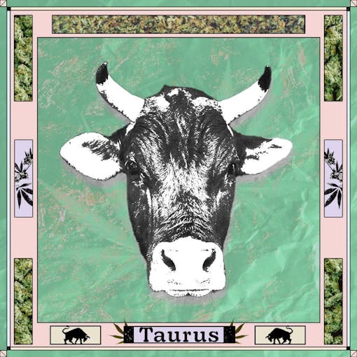 Bull head on light green background with cannabis border with word