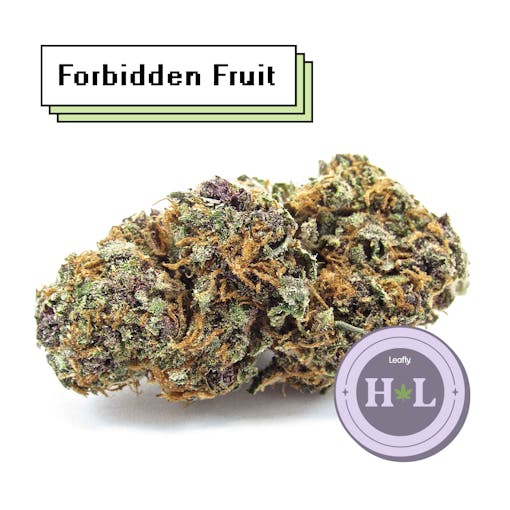 Still a champion—Forbidden Fruit. Hybrid indica. (David Downs/Leafly)