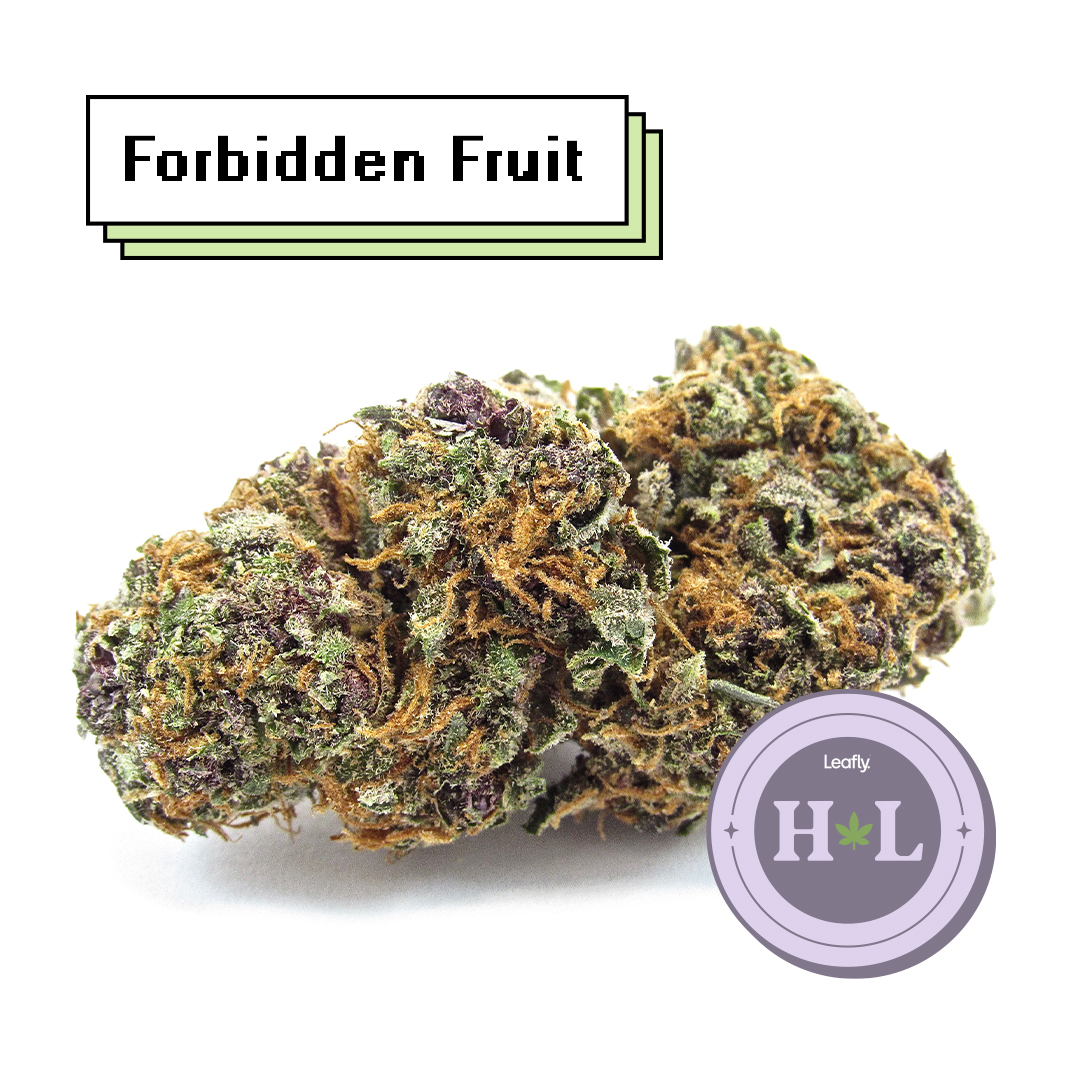 Still a champion - Forbidden Fruit. Hybrid indica. (David Downs/Leafly)