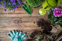 Outdoor gardening tools and herbs, close-up.
