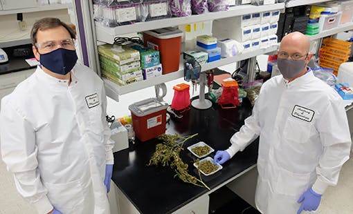 photo-of-kansas-state-university-researchers-in-lab