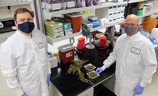 photo-of-kansas-state-university-researchers-in-the-lab