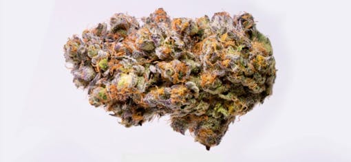 Biscotti from Tradecraft Farms (courtesy of Biscotti)