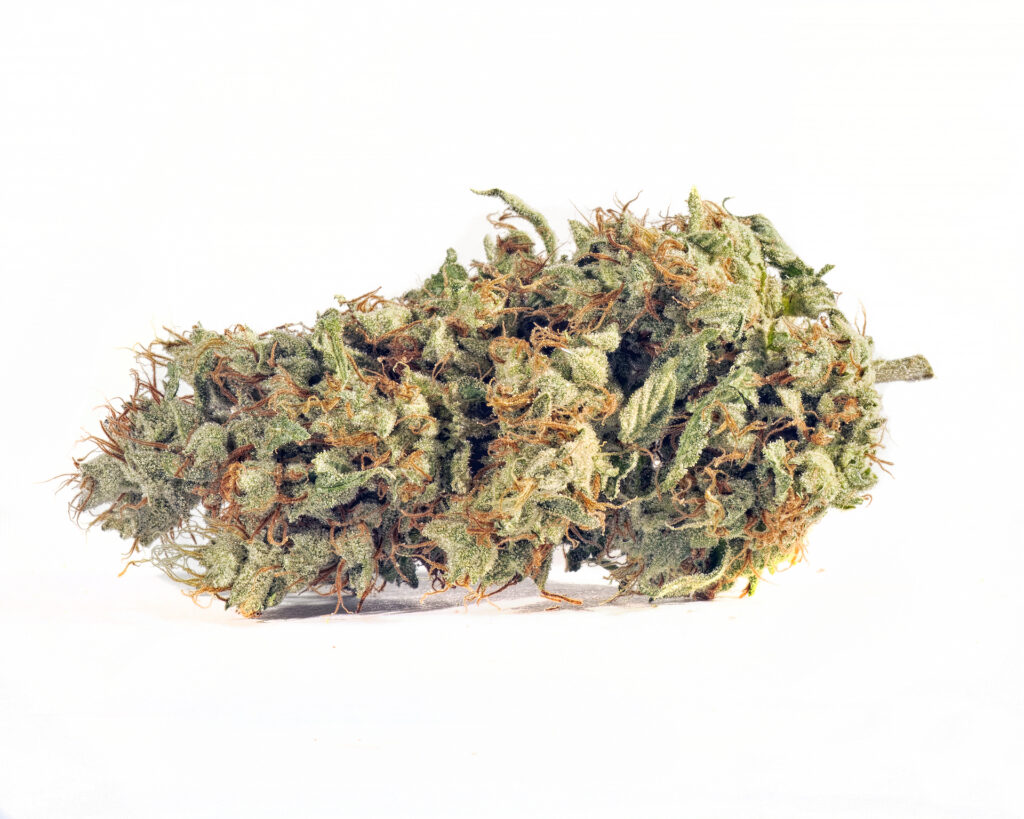 Fortissimo bred by Green Dot Labs grown by Gnome Grown (Ryan Herron for Leafly)