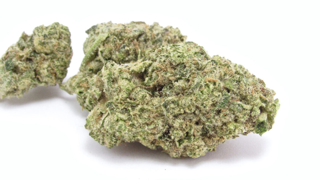 Seed Junky Genetics Animal Face angebaut und verkauft von Seed Junky (David Downs:Leafly)