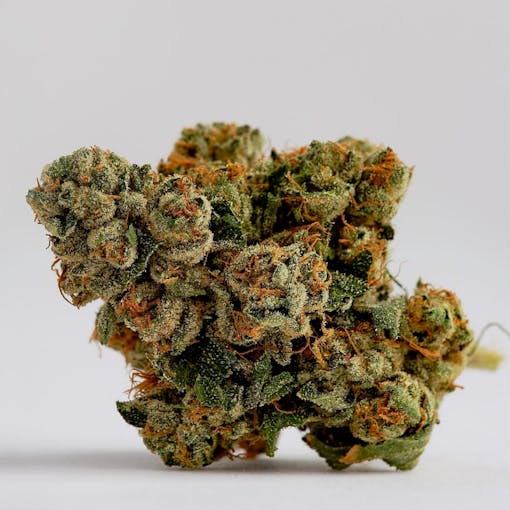 Starbelly2 sold by 22Red NV. Hybrid. (Courtesy 22Red)