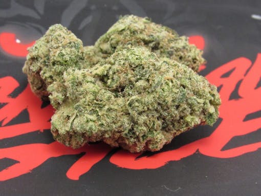 Seed Junky Gxenetics Animal Face grown and sold by Seed Junky (David Downs/Leafly)