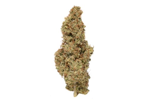 supa durban marijuana strain