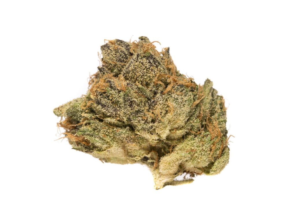 Zoink's marijuana strain