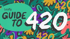 the words 'Guide to' in a green circle next to '420' in big white numbers' on a background of yellow, green and purple doodles