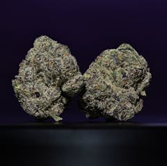 Iverson 01 cannabis nugs on purple background