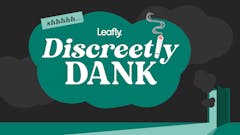 green illustration reading "Discreetly Dank"