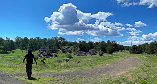 person seen from behind walking on path in campground under big blue sky with some puffy clouds