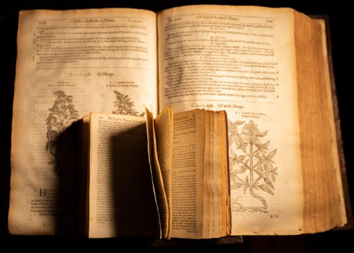 Many ancient texts document cannabis use throughout history, both explicitly, and through allegory. (AdobeStock)