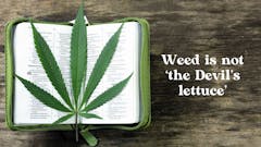 Weed is not the devil's lettuce Easter Leafly