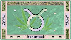 Taurus sign with green cannabis background and word "Taurus"