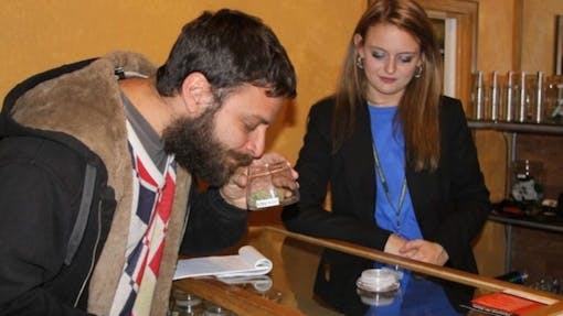 photo-of-author-david-bienenstock-in-colorado-cannabis-store