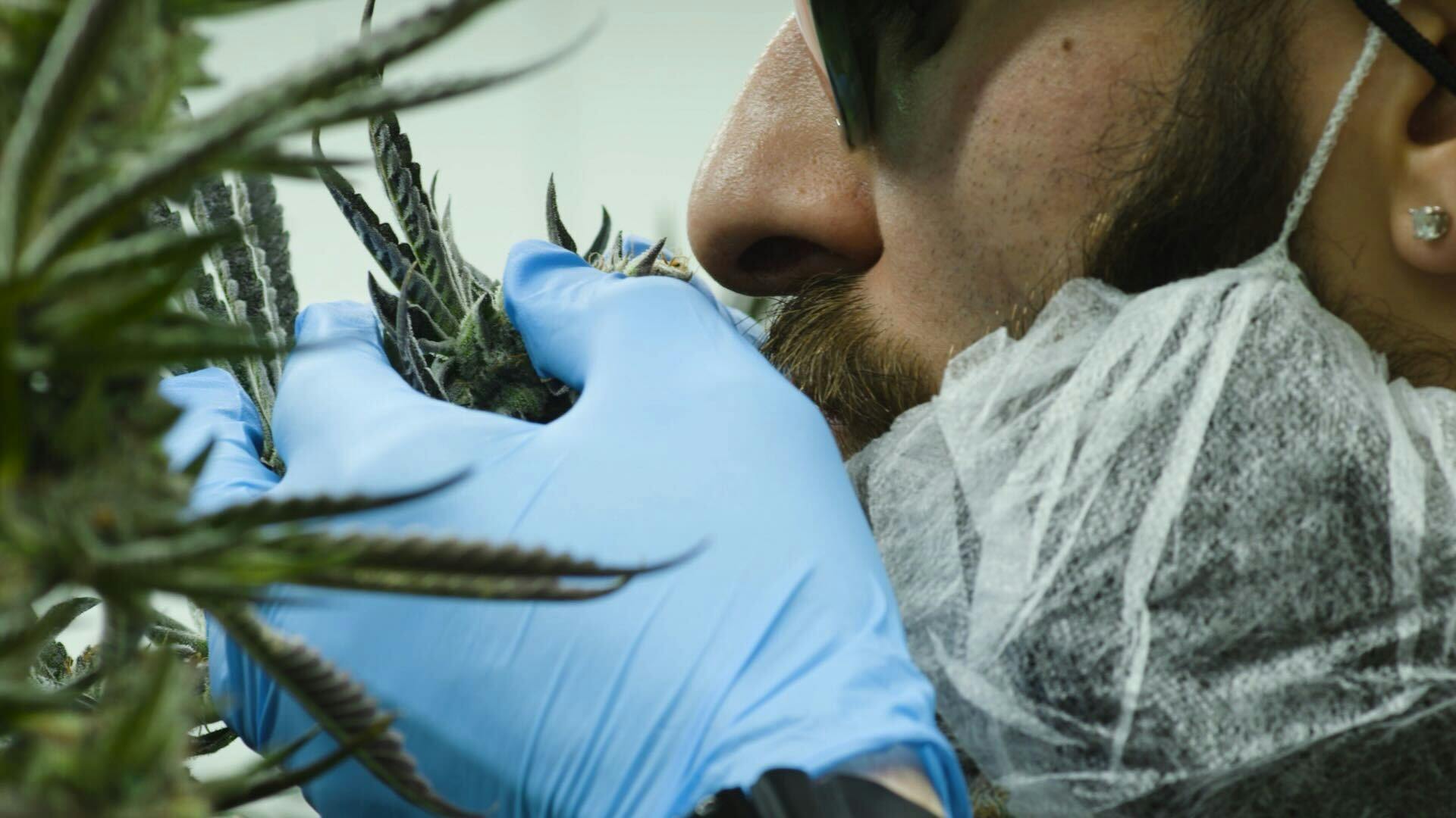 Meet the 'NJ Gas Man' bringing Cookies to New Jersey image