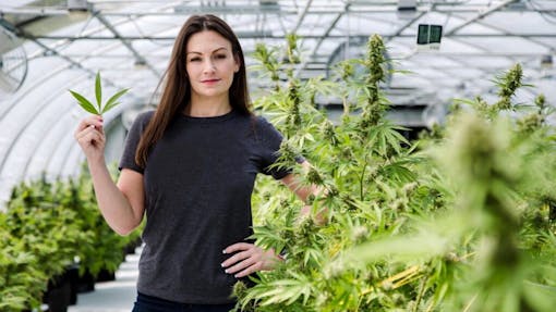 woman in black t shirt in greenhouse grow with plants in the foreground